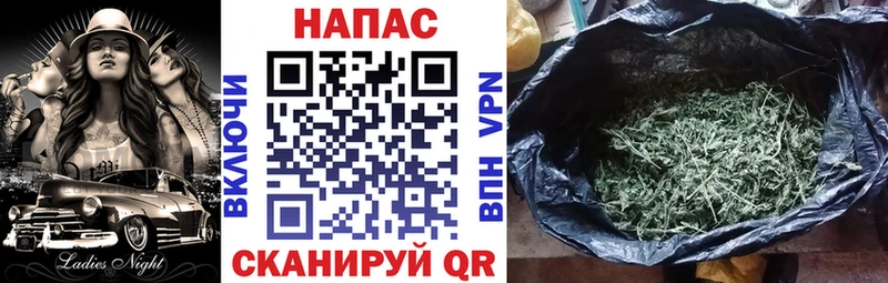 наркота Жиздра Конопля OG Kush